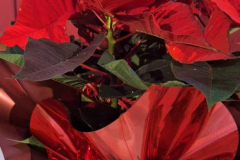 received_891112409458679