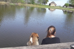 Draugystė.-Nuotrauką-atsiuntė-Zita-Šaltė