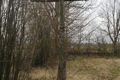 95789928_265825827922027_8226877974222209024_n