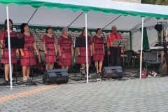 Ramonų-mišrus-vokalinis-ansamblis