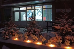 Neužmirštuolių-žiedai-ir-žvakučių-šviesa-priminė-kad-tautos-didvyriai-gyvi-mūsų-širdyse.