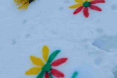 Nemaksciu-bendruomene-Santalka-2