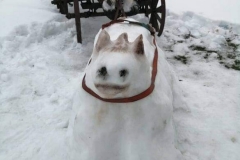 Pranas-Laurinavicius