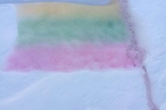 Sigita-Raciene-ir-anukai-2