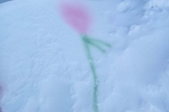 Sigita-Raciene-ir-anukai