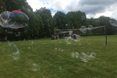 102665199_568045447415782_850865736739271049_n