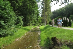 Vaiguvos-upelis-gatvė
