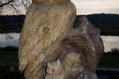 08-Veliuonos-grozybes