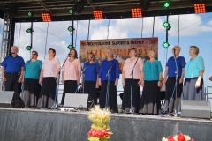 117586712_3461228687244289_4239600094549745400_o