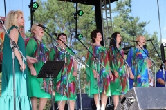 117597692_4126885844053492_2417523158431489413_o