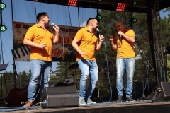 117712078_4124243697651040_5537323274178303606_o