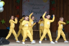 Sokiu-klubo-Vilnis-mazyliu-grupe