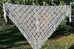 95646429_784785678716132_4412786383597338624_n